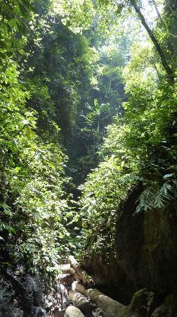 Lore Lindu National Park